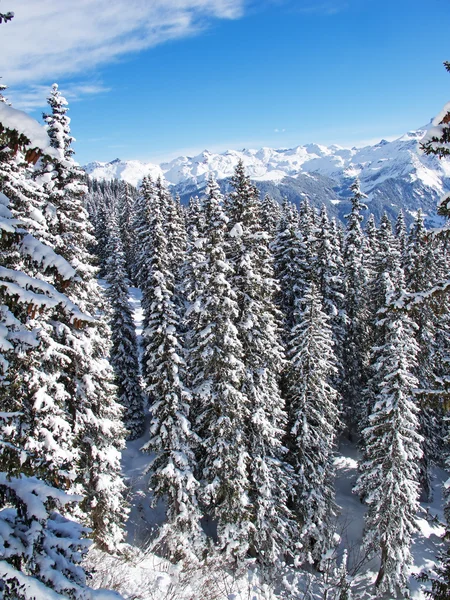 Zima Švýcarských Alpách Braunwald Glarus Švýcarsko — Stock fotografie