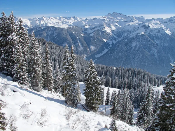 Zima Szwajcarskich Alpach Braunwald Glarus Szwajcaria — Zdjęcie stockowe