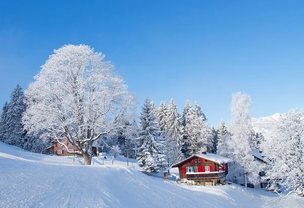 冬の休日の家 — ストック写真