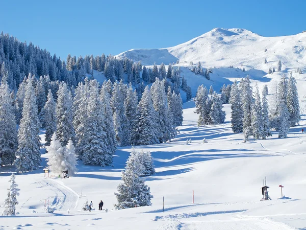 Зима Швейцарських Альпах Flumserberg Санкт Галлен Швейцарія — стокове фото