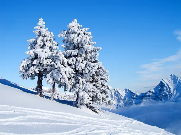Zima Alpach Szwajcarskich Flumserberg Gallen Szwajcaria — Zdjęcie stockowe