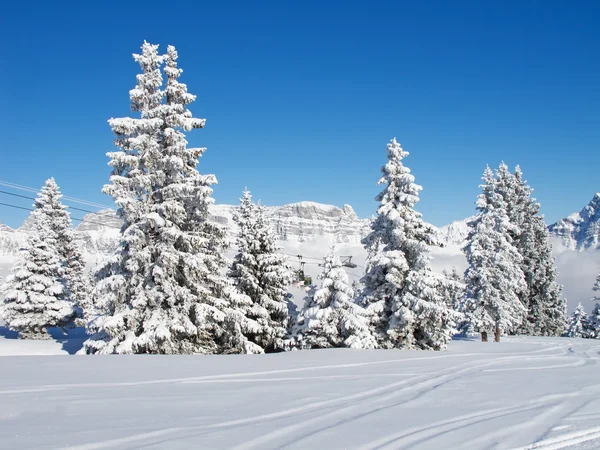 Inverno Nos Alpes Suíços Flumserberg Gallen Suíça — Fotografia de Stock