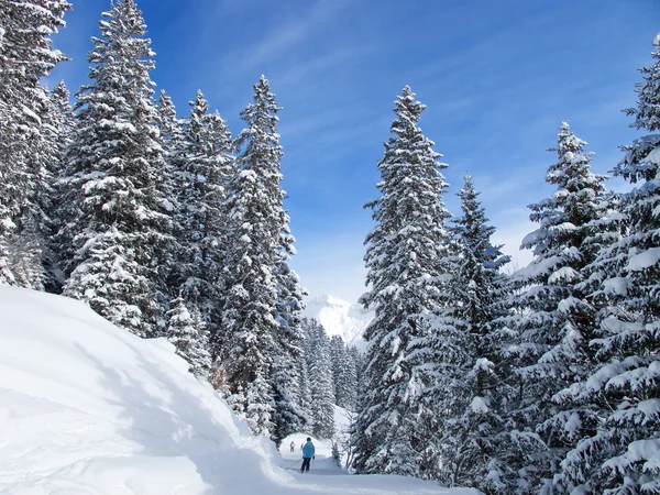 斜坡上滑雪度假村榆树 — 图库照片