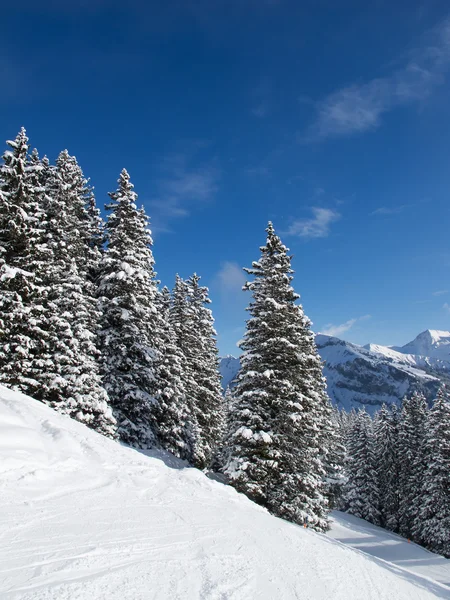Piste Skigebiet Ulmen Schweiz — Stockfoto