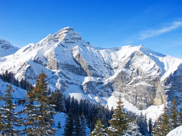 Winter Zwitserse Alpen Melchsee Frutt Luzern Zwitserland — Stockfoto