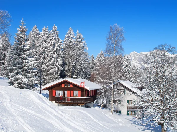 Zimowy Dom Letniskowy Alpach Szwajcarskich — Zdjęcie stockowe