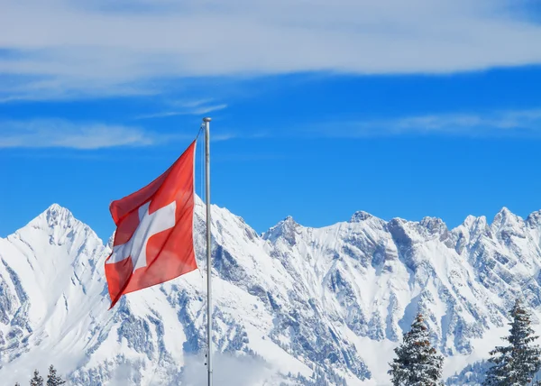 Stock image Winter in alps