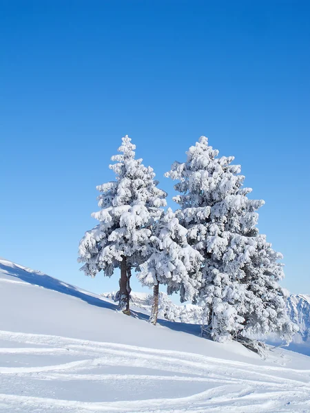 Winter in de Alpen Stockfoto