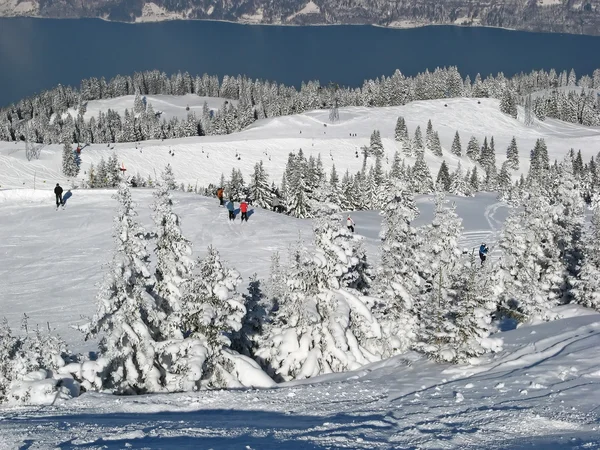 stock image Skiing slope