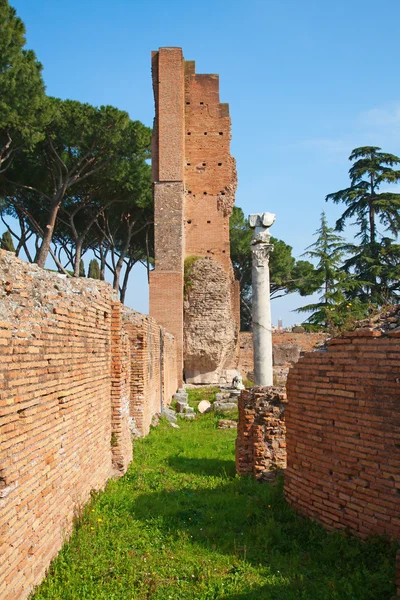 stock image Ruins of the forum