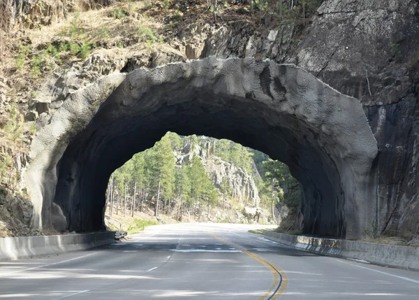 Black Hills tunnel — Stockfoto