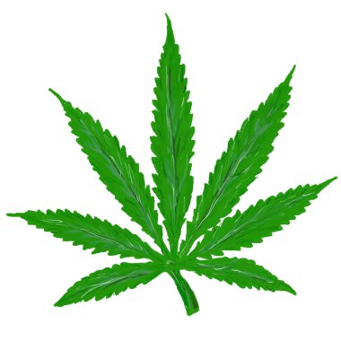 Hemp leaf clipart