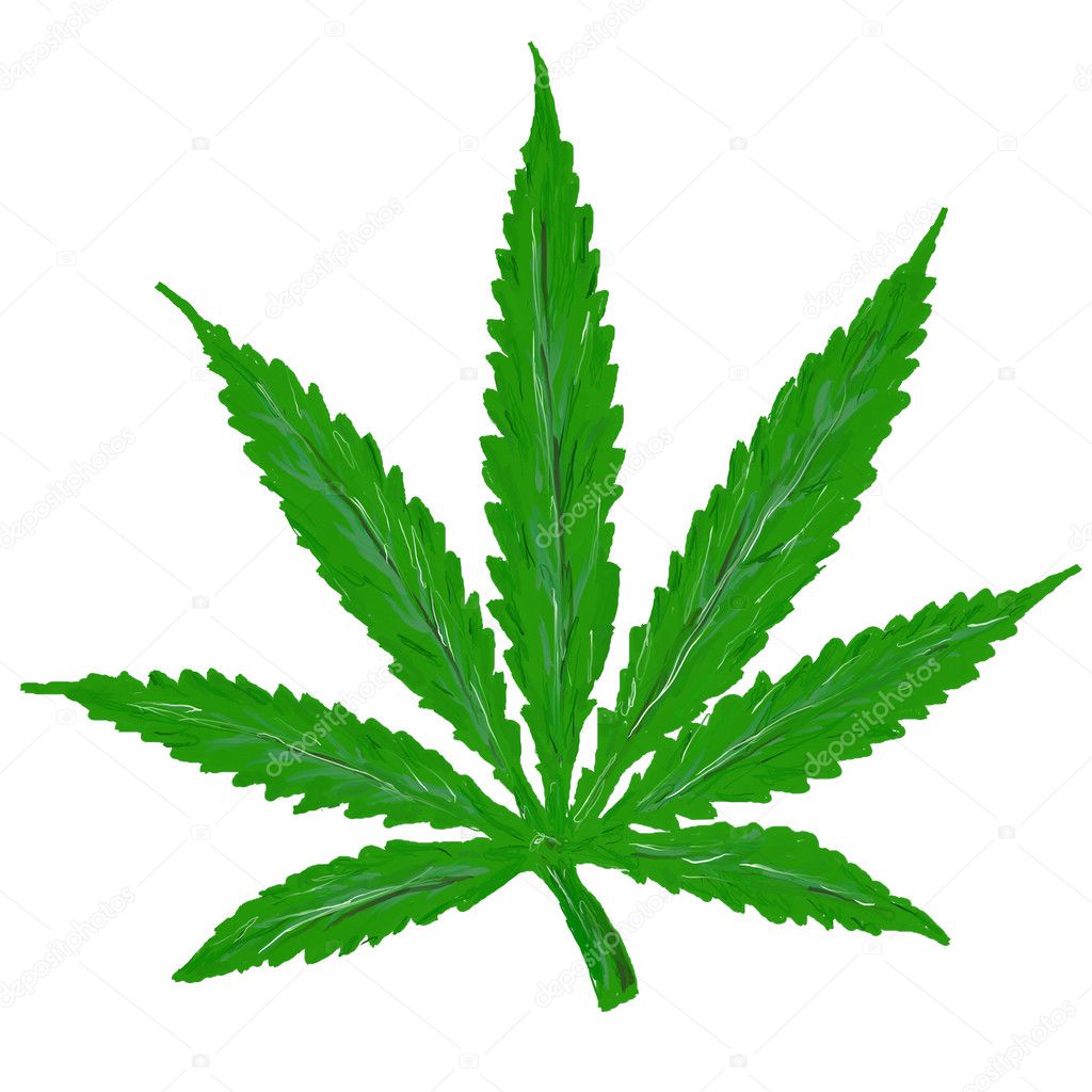 Hemp leaf — Stock Photo © drizzd #4597933