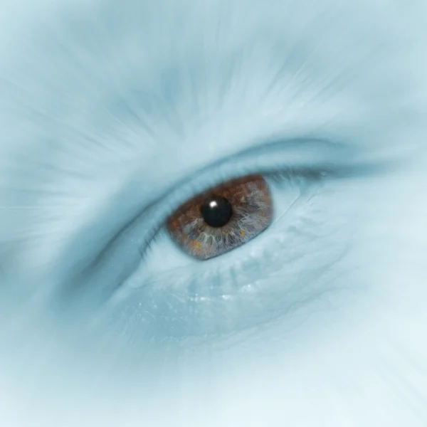 Синий цвет глаза — стоковое фото
