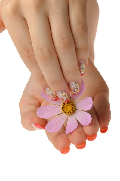 Weibliche Hand und Blume — Stockfoto