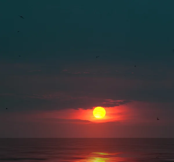 Pittoresco tramonto — Foto Stock