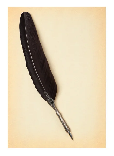 Feather quill on an old paper — Stock Photo, Image