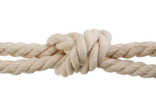 Cord with knot. Stock Picture