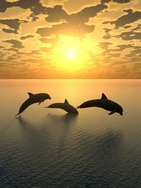 Картина, постер, плакат, фотообои "dolphin yellow sunset _ 2
", артикул 4192693