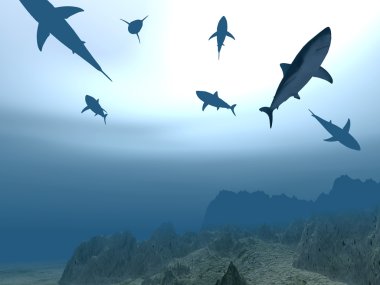 Flight of sharks clipart