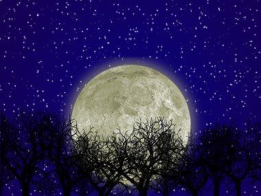 Moon and forest clipart