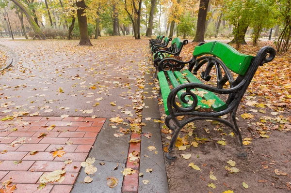 秋の公園。雨の天気 — ストック写真
