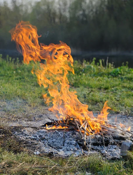 Api unggun — Stok Foto