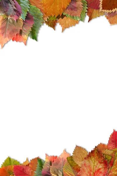 Rám z podzimní listí se stínem — Stock fotografie