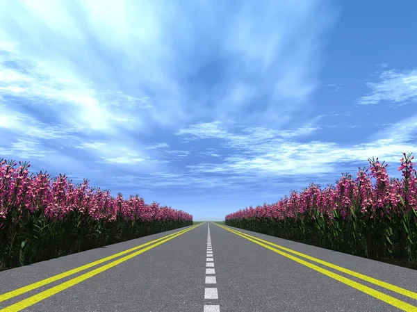 Highway blommor — Stockfoto