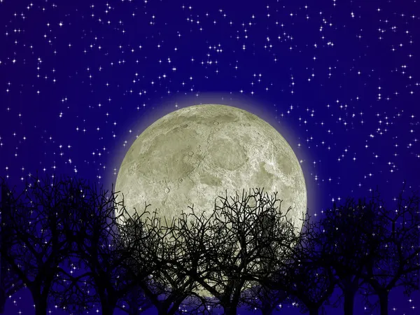 Księżyc i lasu — Zdjęcie stockowe