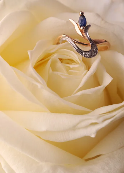 Anillo en una rosa blanca — Foto de Stock