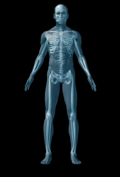 Esqueleto humano no fundo preto — Fotografia de Stock