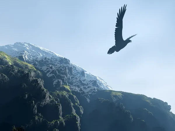 Silhueta de uma águia que voa acima de montanhas — Fotografia de Stock