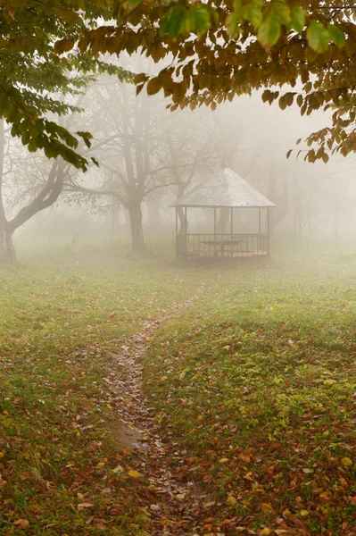 Sommarhus i dimmig skog — Stockfoto