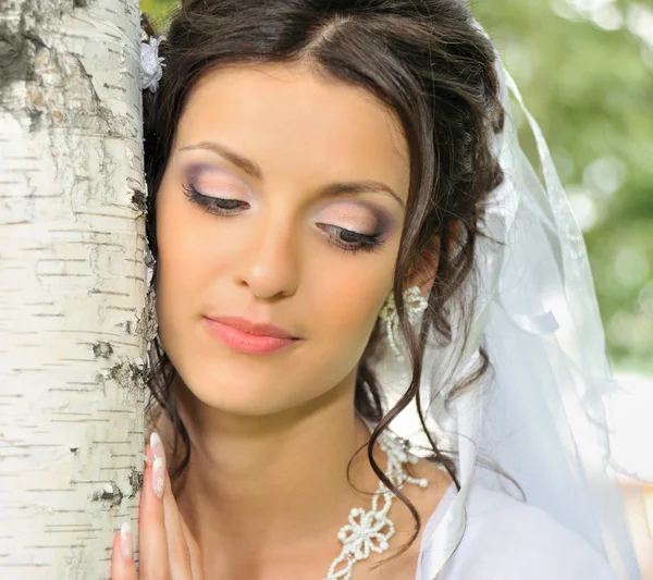 La sposa e una betulla — Foto Stock