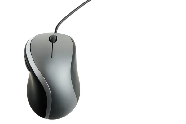 The computer mouse — Stock Photo, Image