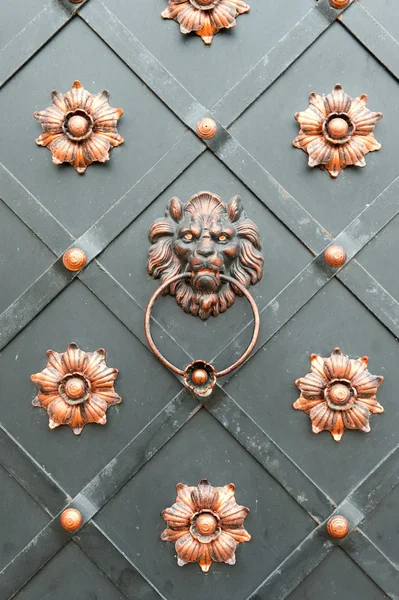 Detalle de una puerta de hierro con el mango en forma de una cabeza de — Foto de Stock