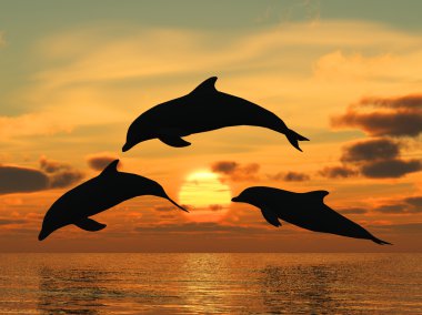 Dolphin yellow sunset clipart