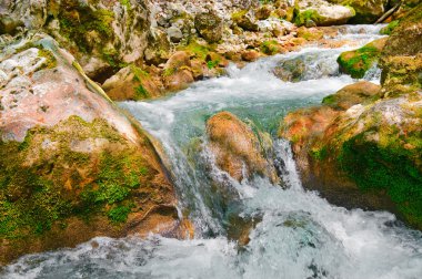 Dağ nehri