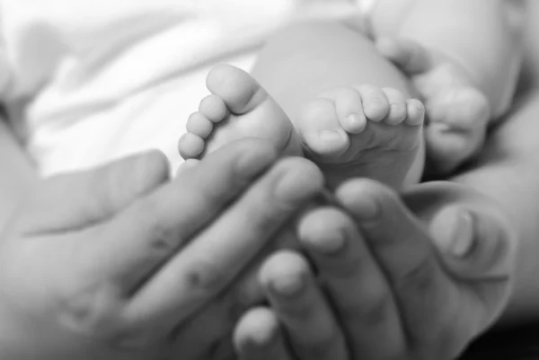 प्रौढ हातात बाळाला पाय — स्टॉक फोटो, इमेज