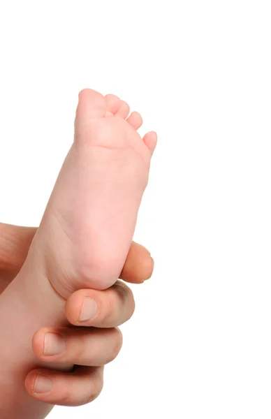 Pé o bebê em mãos adultas — Fotografia de Stock
