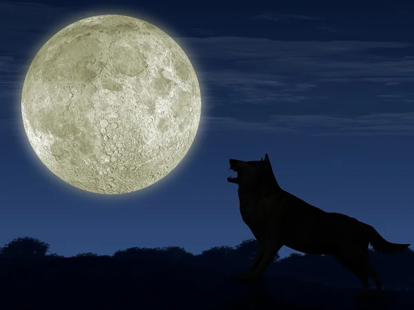 Волк и луна — стоковое фото