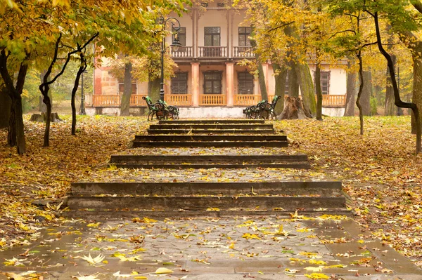 Jesień parku chodnik do budynku — Zdjęcie stockowe