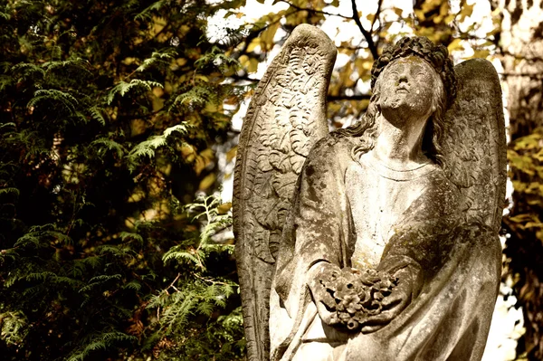 묘지에 천사 기념물 — 스톡 사진