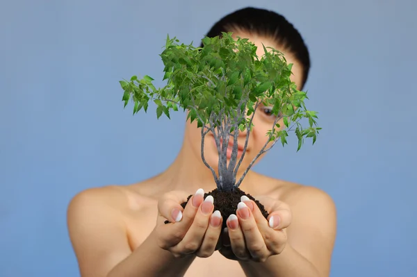 De vrouw heeft in handen bodem met een boom — Stockfoto