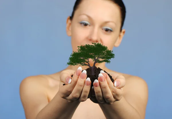 The woman holds in hands soil with a tree — Stock Photo, Image
