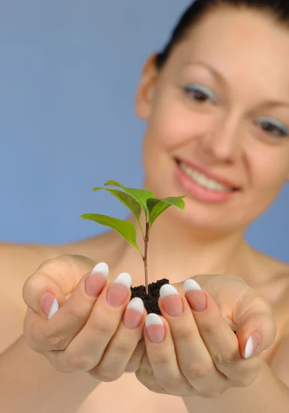 Kvinnan håller i händerna jord med en växt — Stockfoto