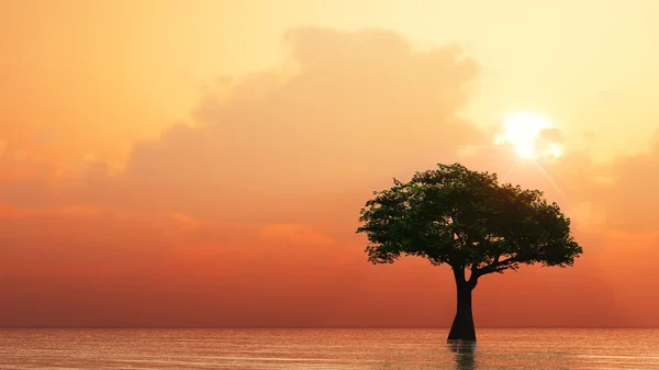 Strom, který roste z vody — Stock fotografie