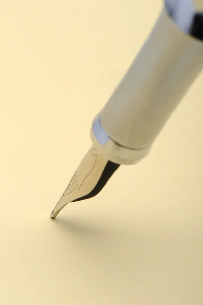 Gümüş dolma kalem portre — Stok fotoğraf