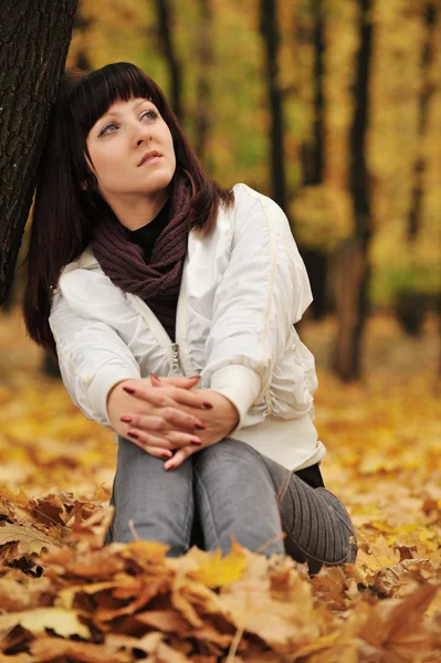 Het meisje in een herfst forest — Stockfoto